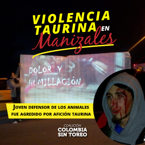 Violencia Taurina Manizales2-01