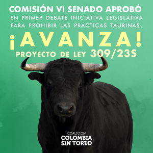 Twitteraron 130623_1-1 b copia