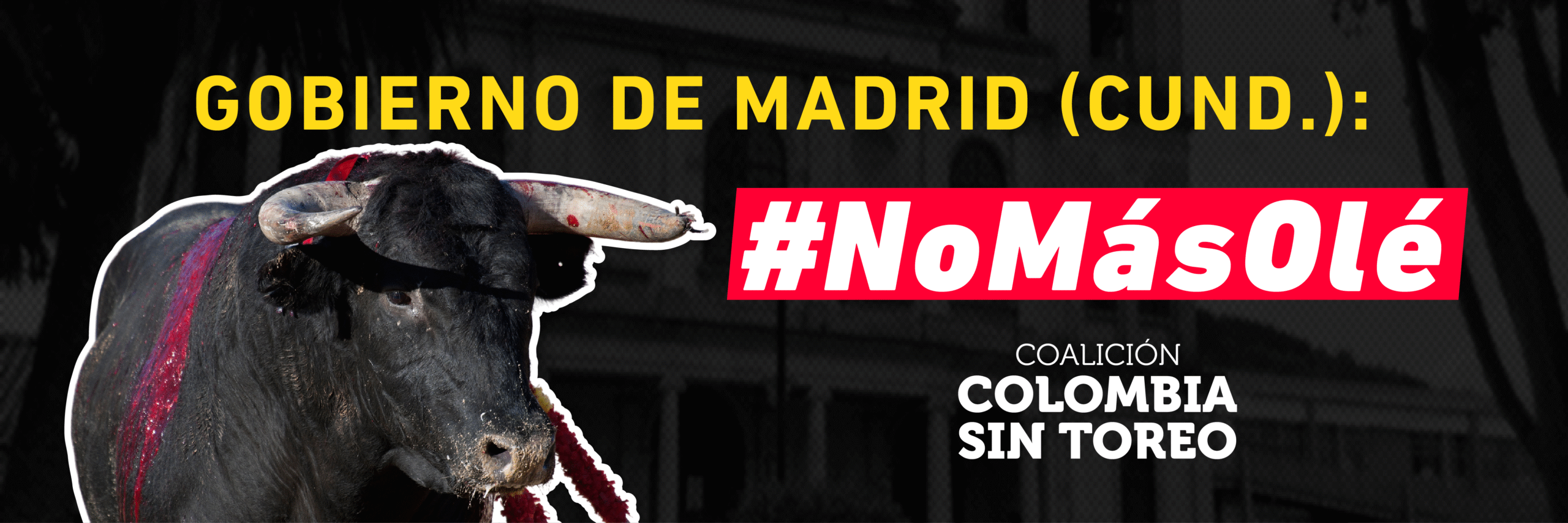 Madrid 2025-02 Madrid 2025-02